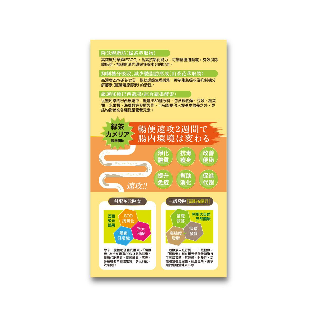 ICHIKI 一木研究所 暢便速攻纖酵素 (1盒) 潤腸淨腸 排走宿便