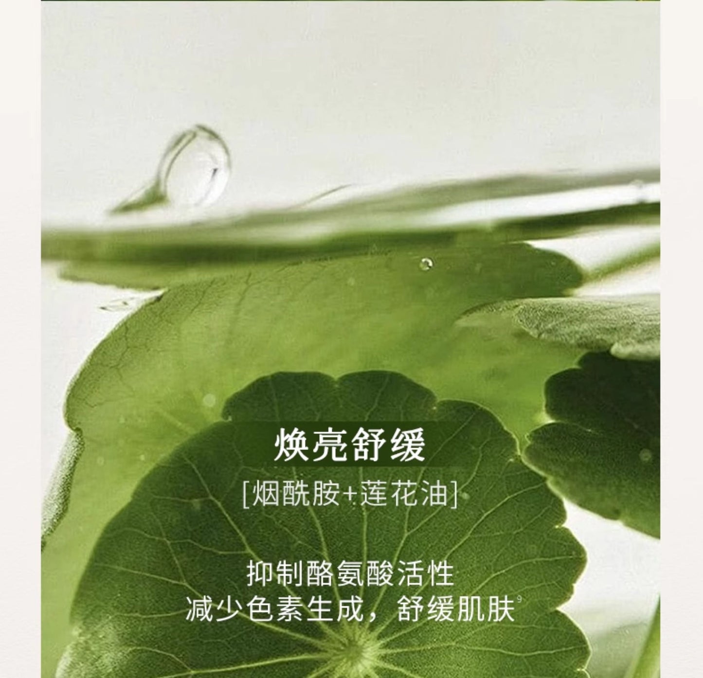 Blé De Fonty 舒顏清潔精油泥膜毛孔控油去角質敏感肌可用 70g （贈120ml潔面乳）