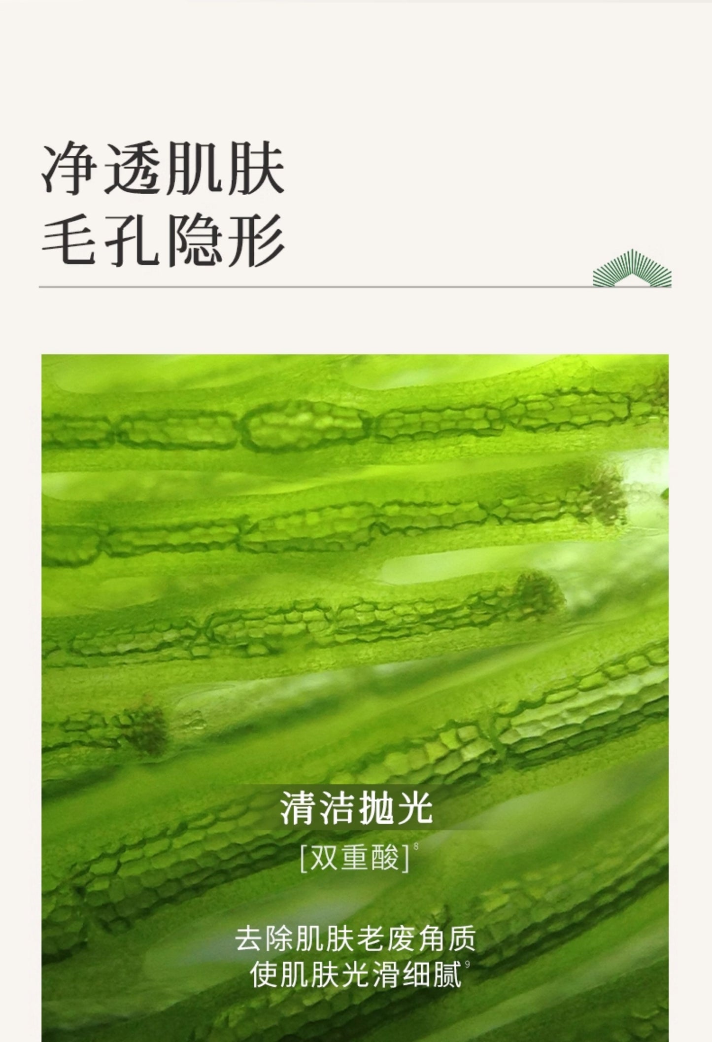 Blé De Fonty 舒顏清潔精油泥膜毛孔控油去角質敏感肌可用 70g （贈120ml潔面乳）