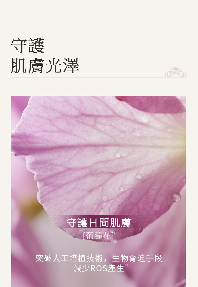 Blé De Fonty 御澤日間抗皺煥采保濕膠囊精華（0.33ml*21粒）購買另贈7粒