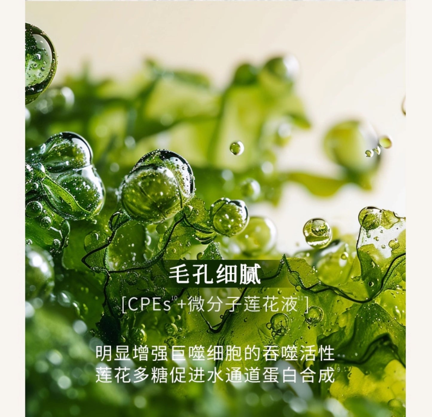 Blé De Fonty 舒顏清潔精油泥膜毛孔控油去角質敏感肌可用 70g （贈120ml潔面乳）
