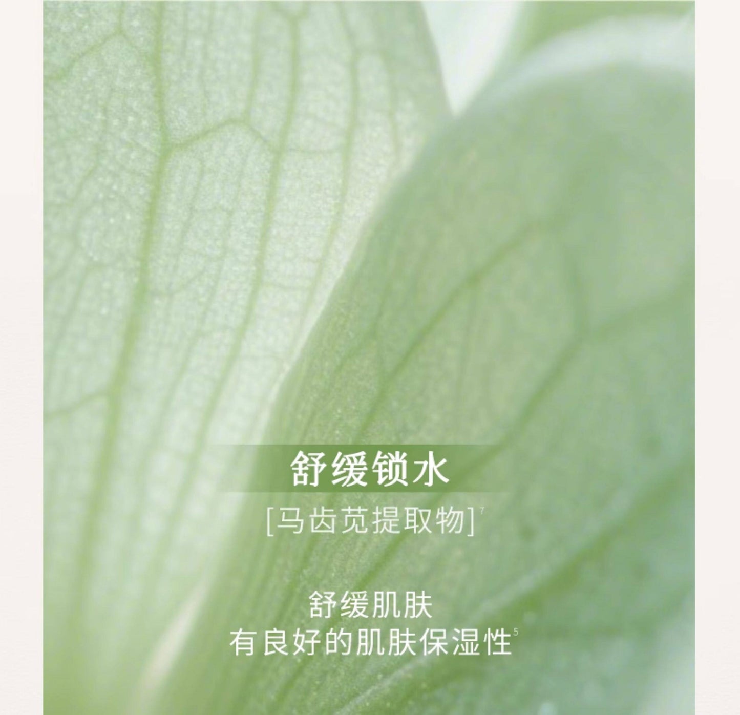 Blé de Fonty 紫草面部保濕舒緩膠囊精华 0.33ml*21粒