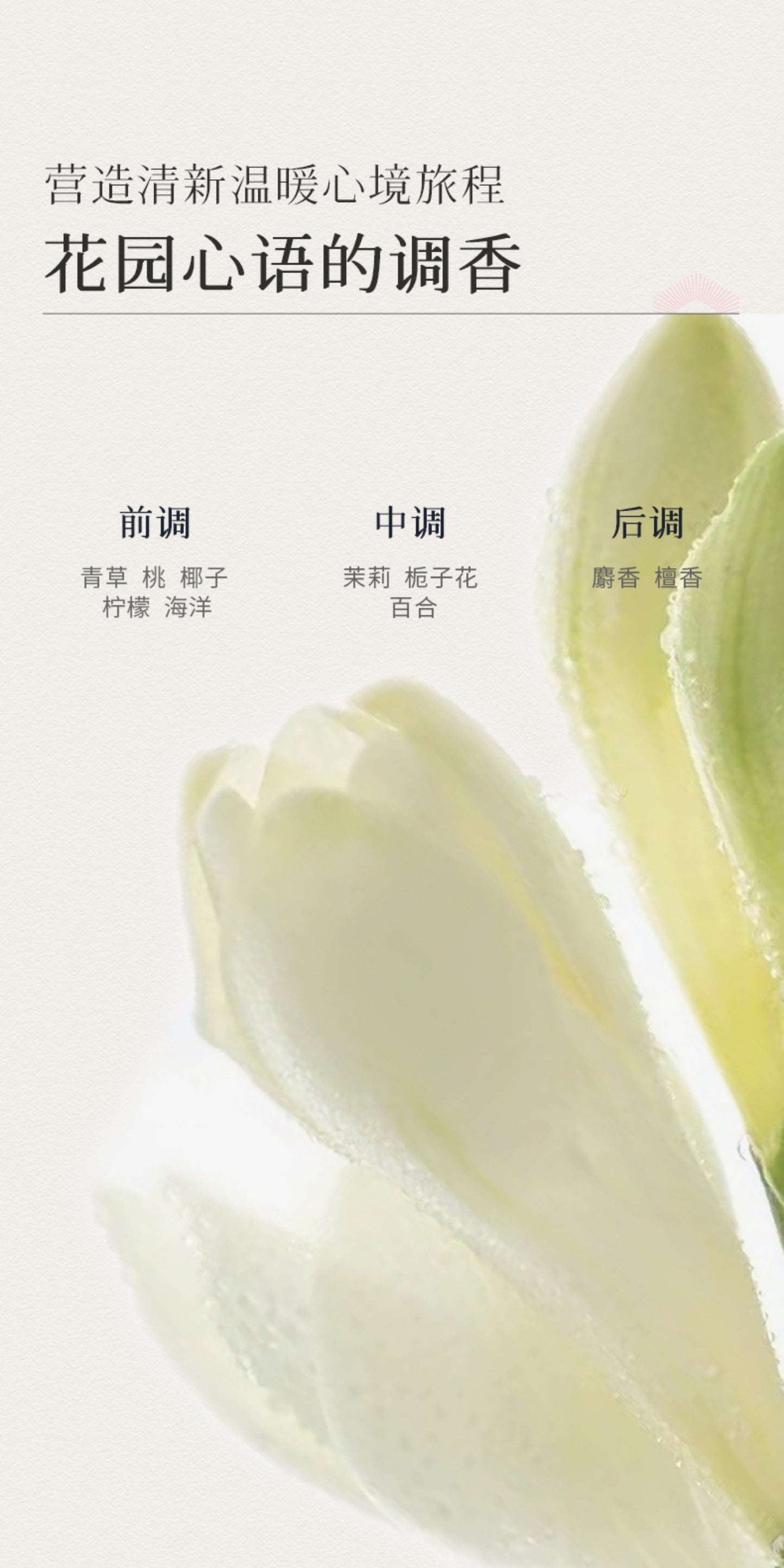 Blé De Fonty 輕盈舒緩保濕精華油清涼薄荷滾珠 10ml