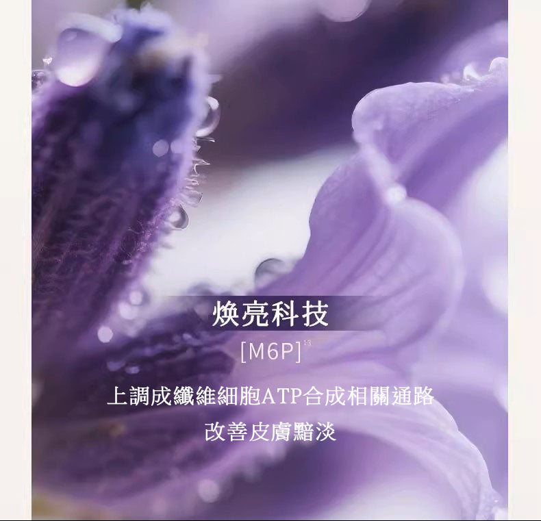 Blé De Fonty 御澤夜間緊緻煥膚修護膠囊精華（0.33ml*21粒）