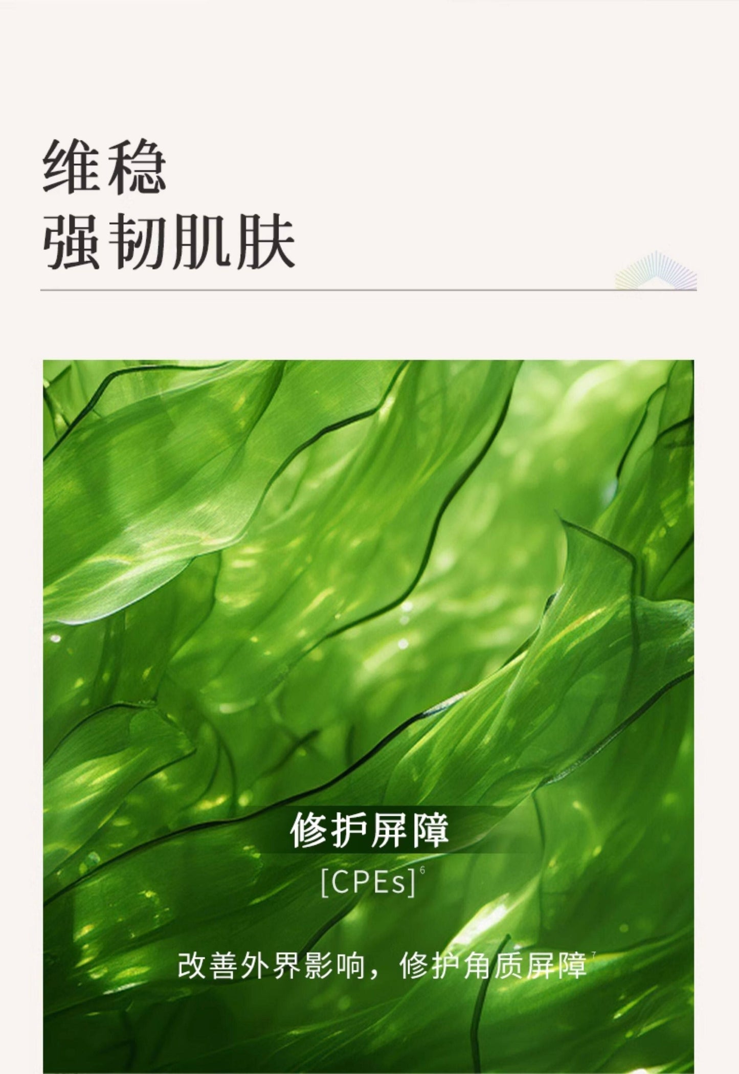 Blé de Fonty 冰藻晶透修護精華液保濕舒緩精華乳玫瑰花水小球藻120ml