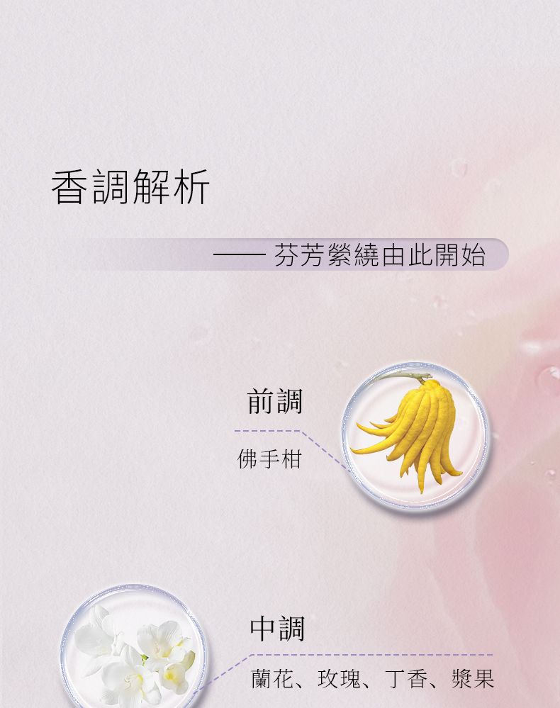 【全網最抵價】Blé de Fonty 香氛膠囊精華一蝶戀獅城 東方花香調蘭花玫瑰次拋香水膠囊 留香4h (EXP 11/06/2028)