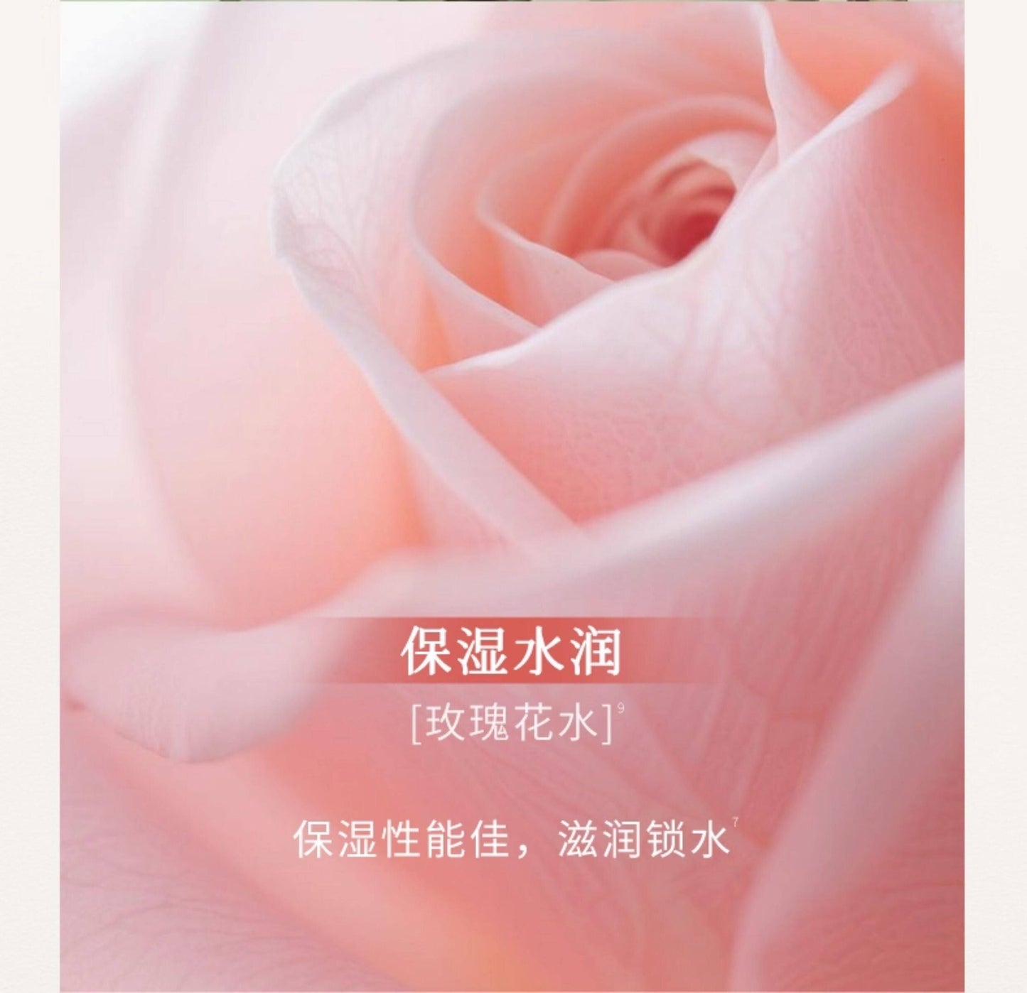 Blé de Fonty 冰藻晶透修護精華液保濕舒緩精華乳玫瑰花水小球藻120ml